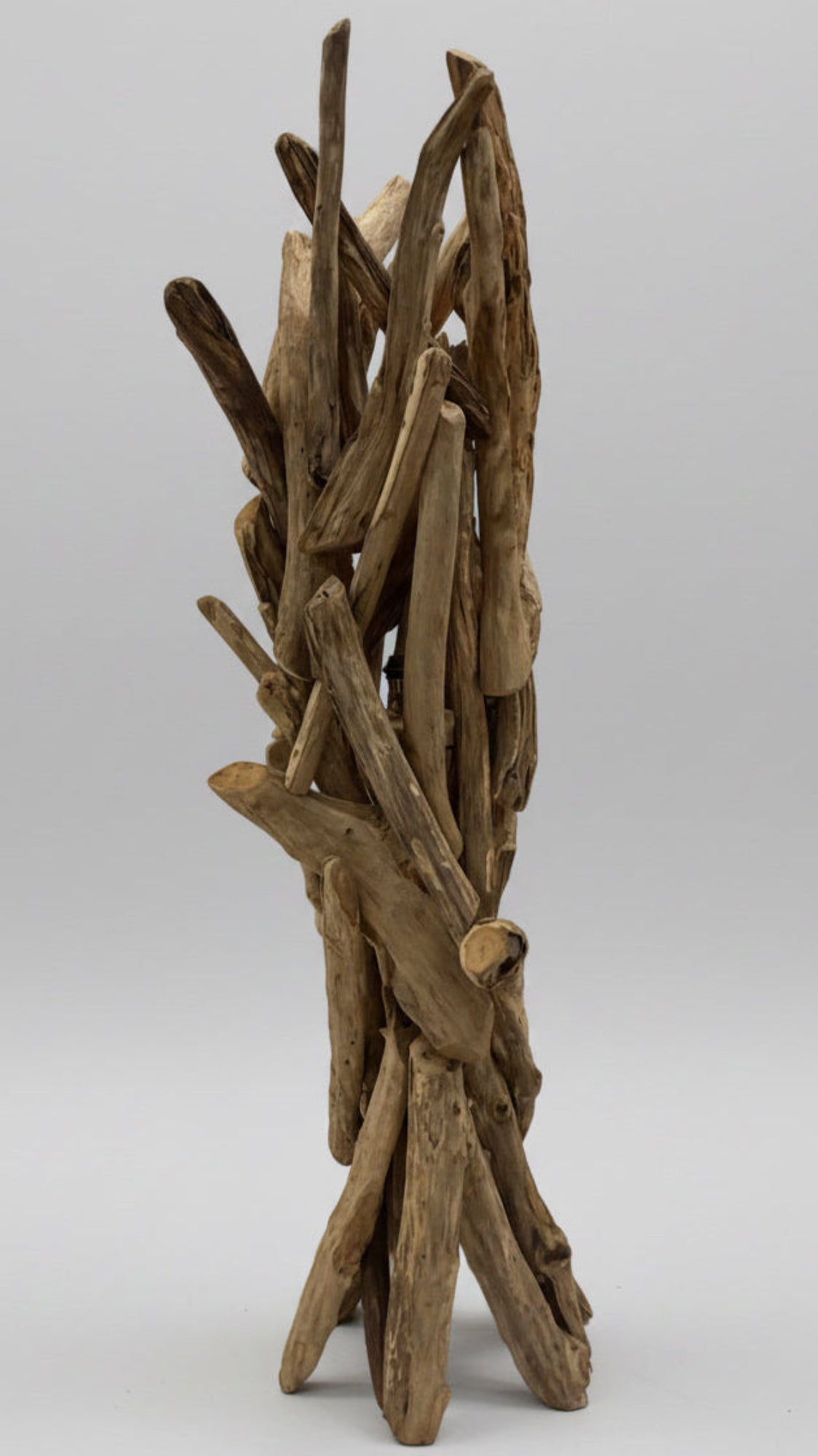 Freestanding Driftwood Sculpture with Central Light Fitting