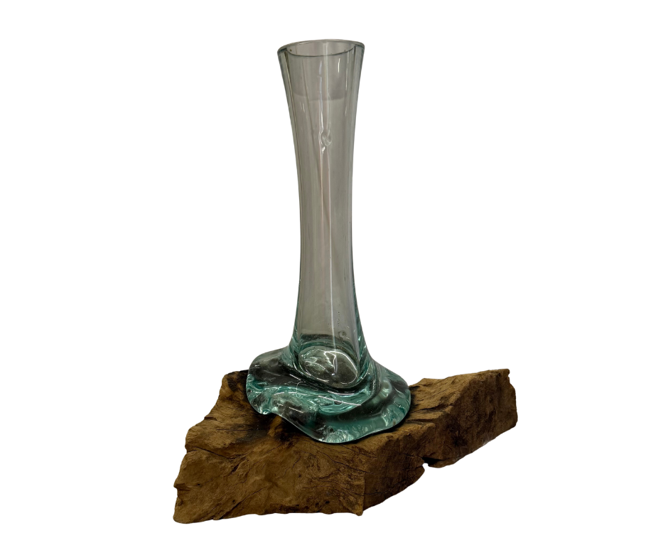 Driftform Glass Vase on Driftwood
