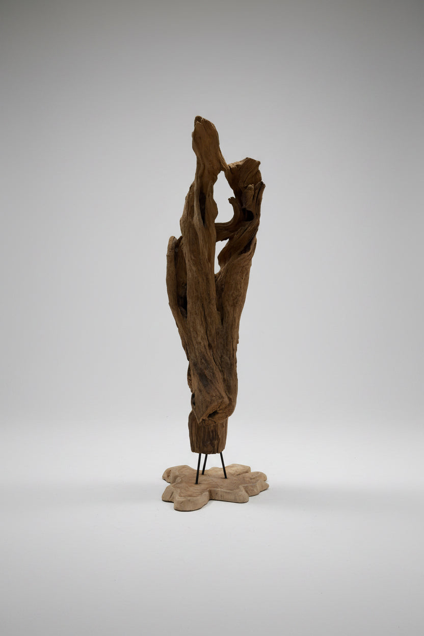 Driftwood Sculpture on Metal Legs with Wooden Stand