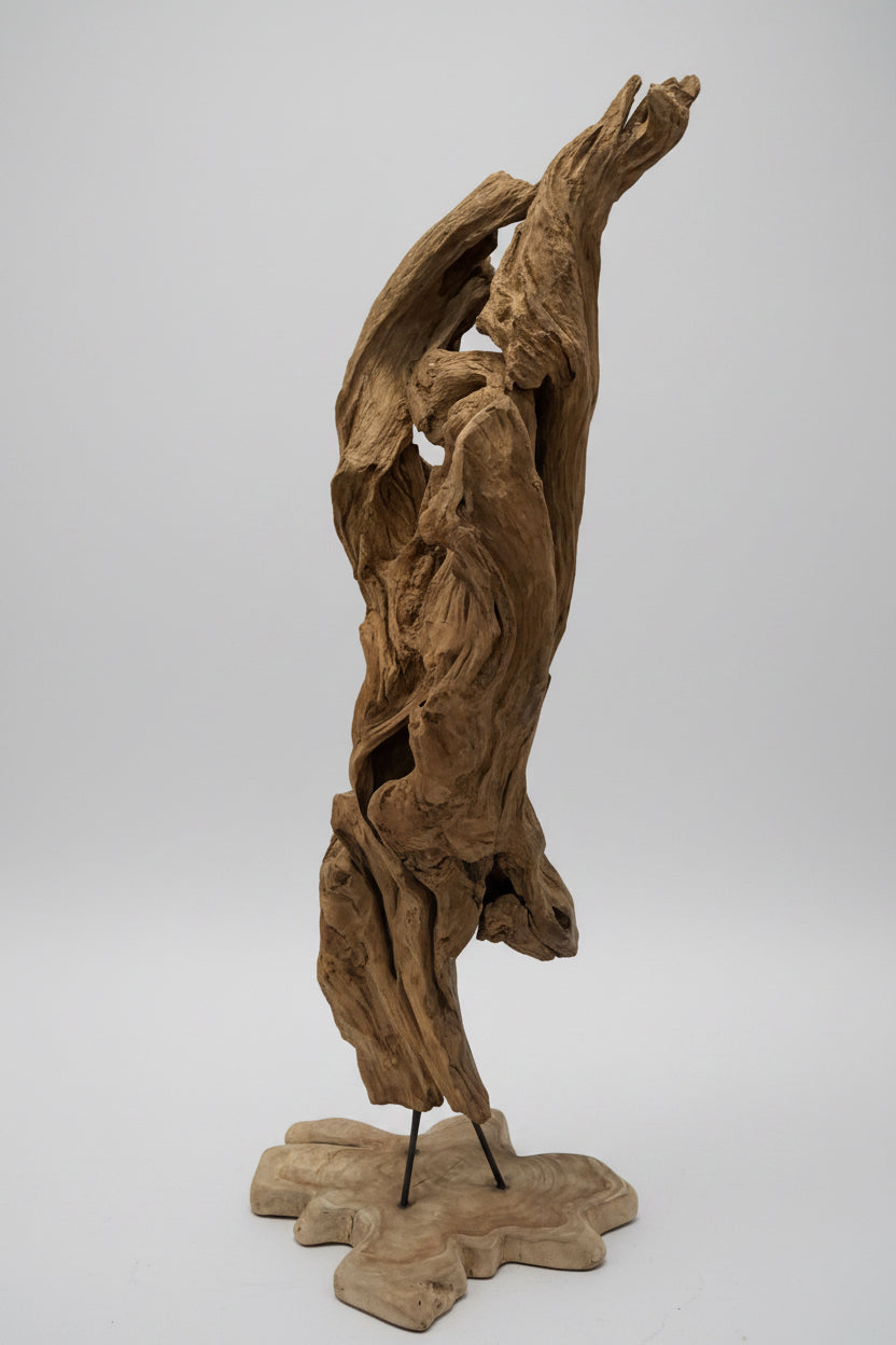 Driftwood Sculpture on Metal Legs with Wooden Stand